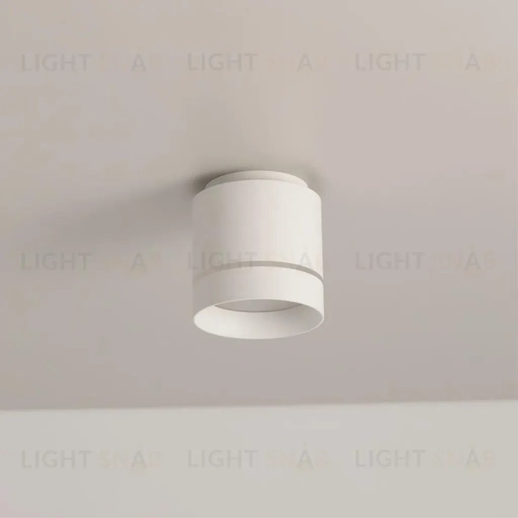 Накладной светильник Citilux Борн CL745020N CL745020N
