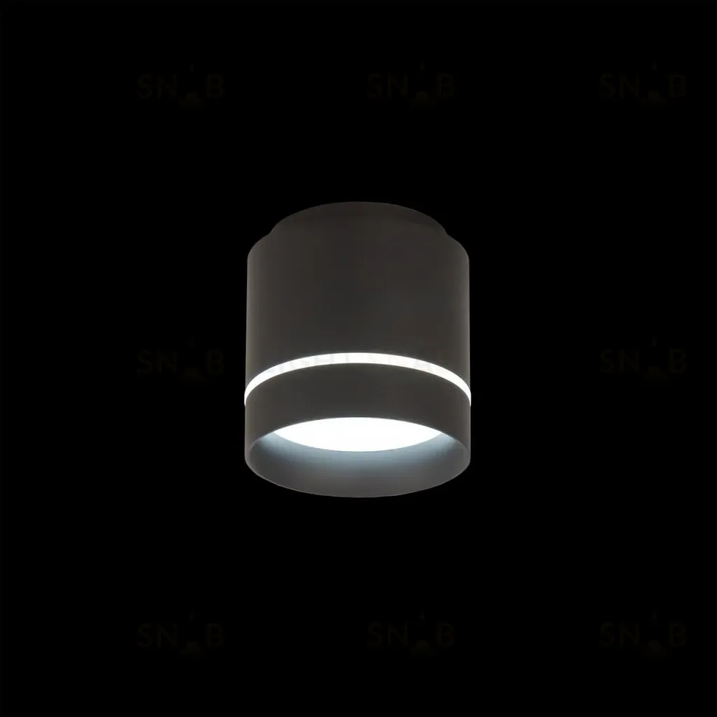 Накладной светильник Citilux Борн CL745021N CL745021N