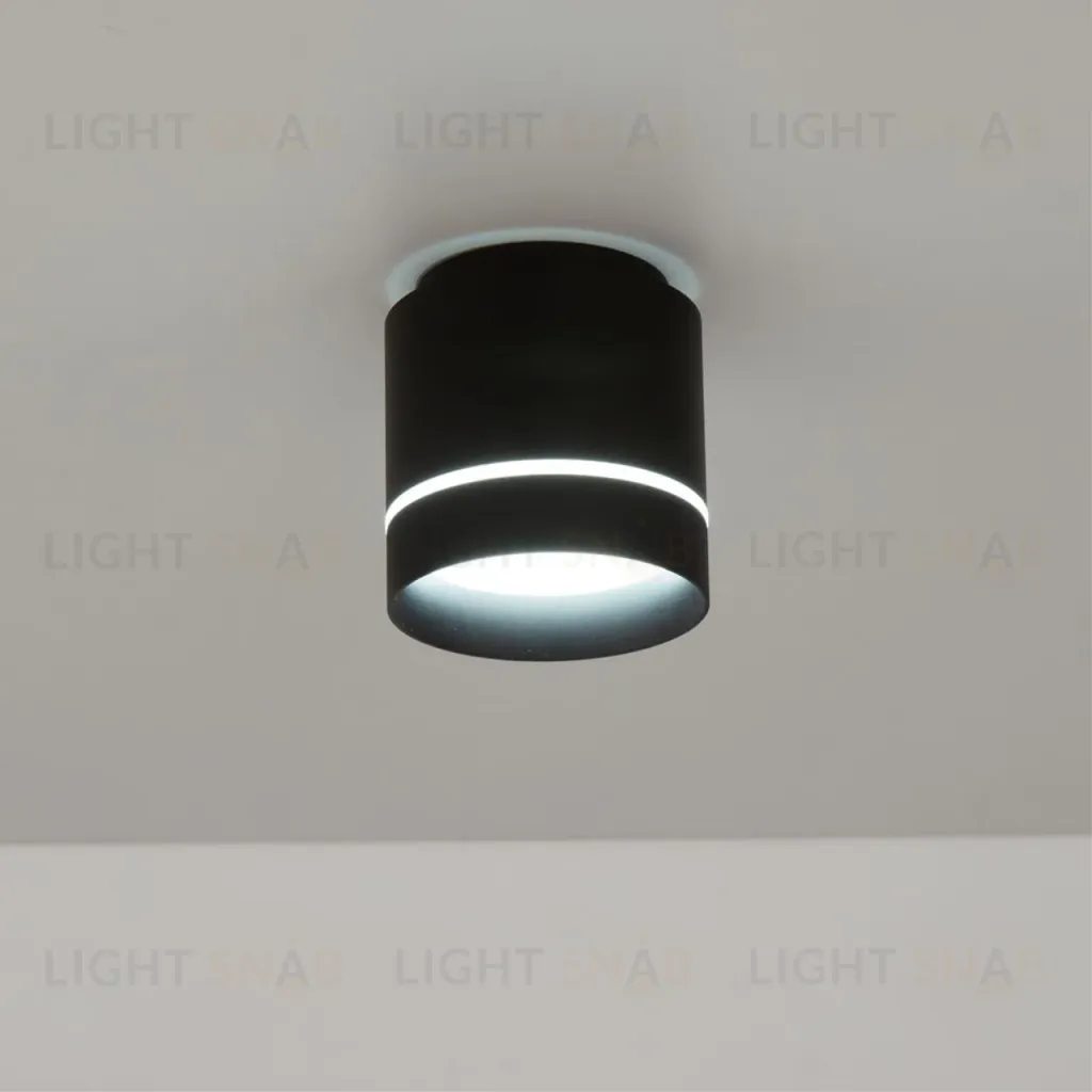 Накладной светильник Citilux Борн CL745021N CL745021N