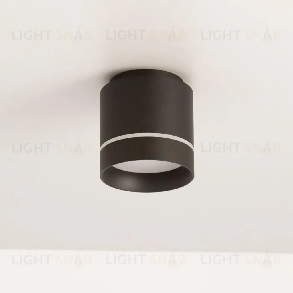 Накладной светильник Citilux Борн CL745021N CL745021N