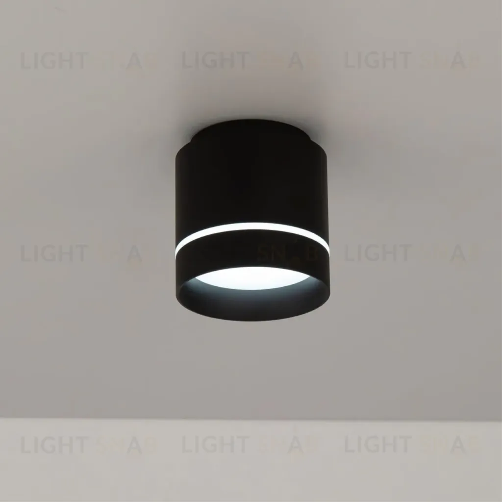 Накладной светильник Citilux Борн CL745021N CL745021N