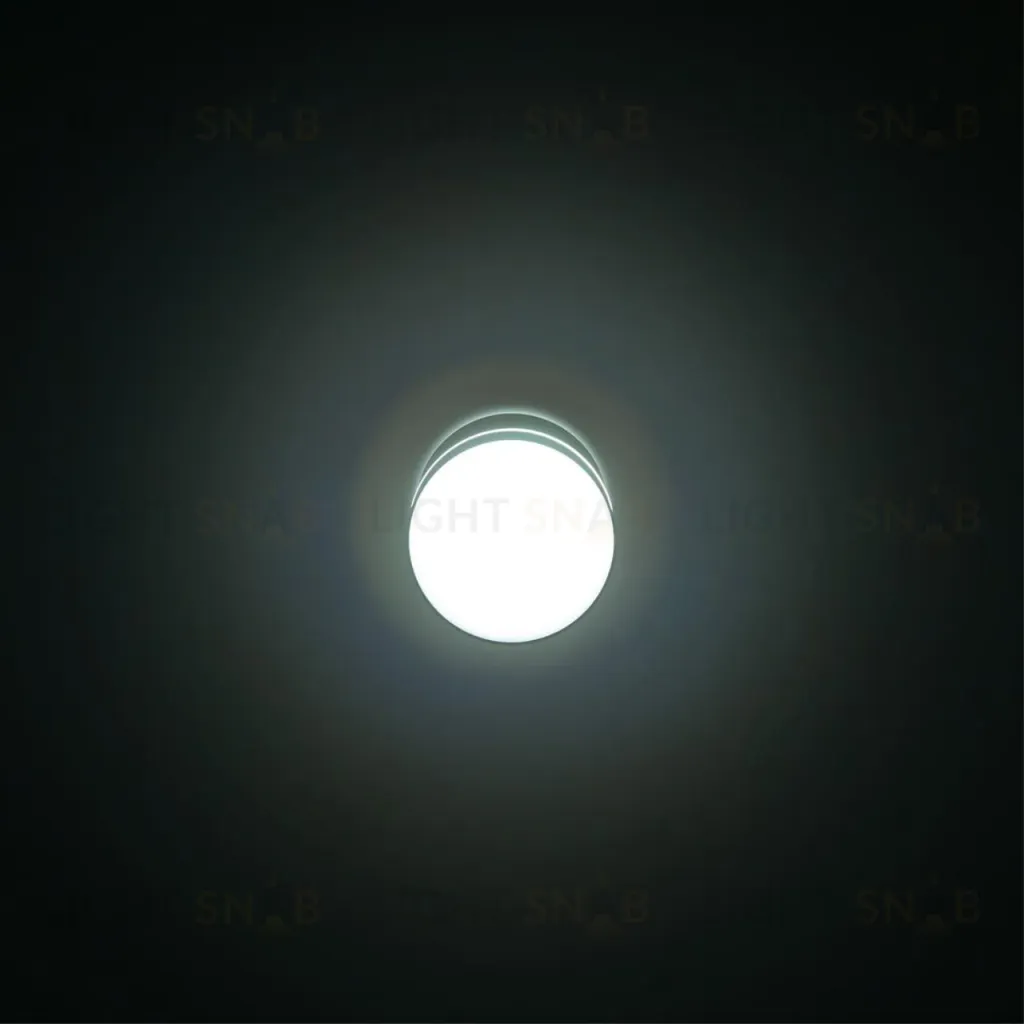 Накладной светильник Citilux Борн CL745021N CL745021N