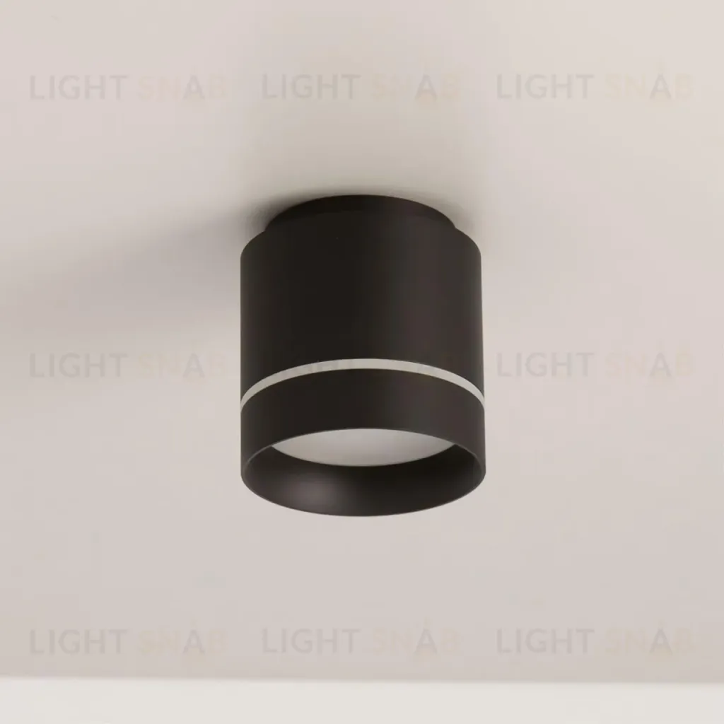 Накладной светильник Citilux Борн CL745021N CL745021N