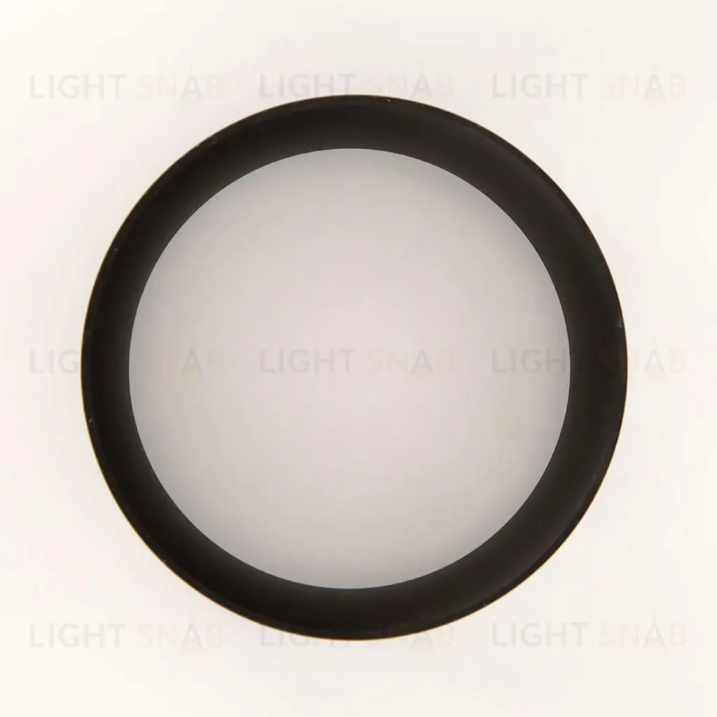 Накладной светильник Citilux Борн CL745021N CL745021N