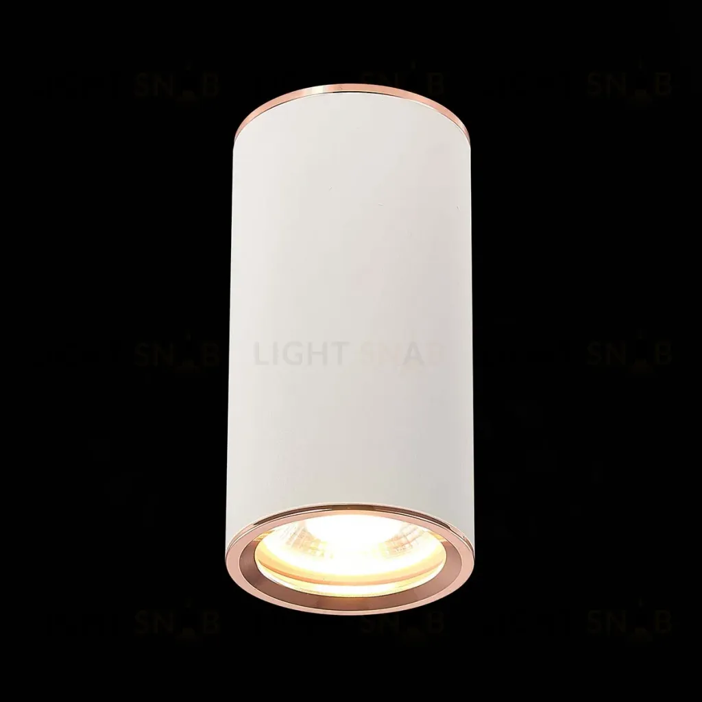 Потолочный светильник ST Luce Chomus ST111.527.01 ST111.527.01