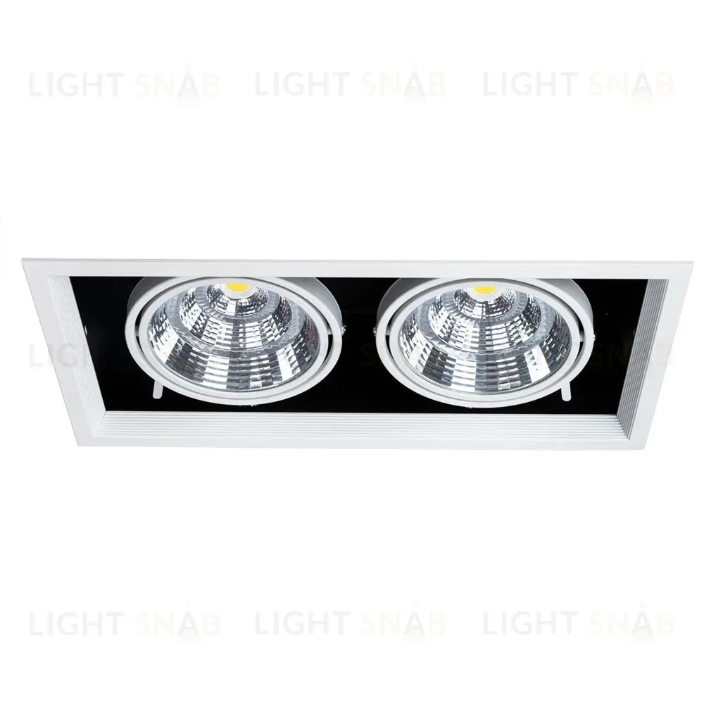 Встраиваемый светильник Arte Lamp Merga A8450PL-2WH A8450PL-2WH