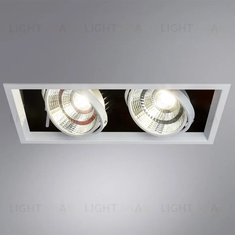Встраиваемый светильник Arte Lamp Merga A8450PL-2WH A8450PL-2WH