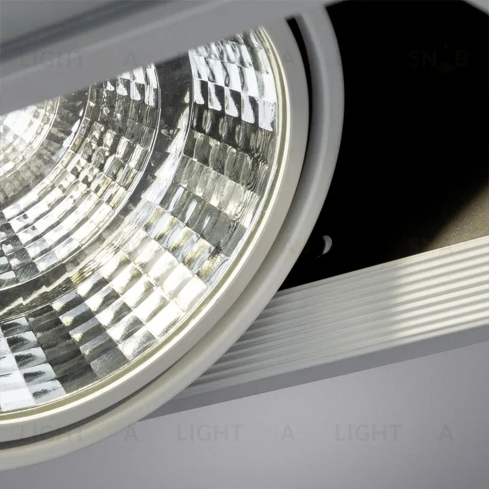 Встраиваемый светильник Arte Lamp Merga A8450PL-2WH A8450PL-2WH