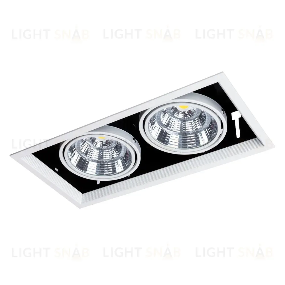 Встраиваемый светильник Arte Lamp Merga A8450PL-2WH A8450PL-2WH