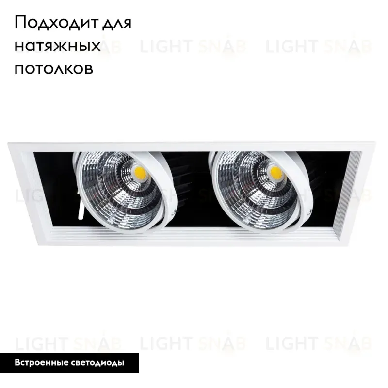 Встраиваемый светильник Arte Lamp Merga A8450PL-2WH A8450PL-2WH