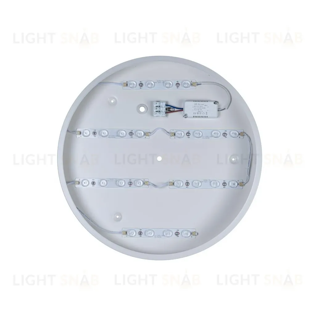 Потолочный светильник Loft IT AXEL 10003/24 White 10003/24 White