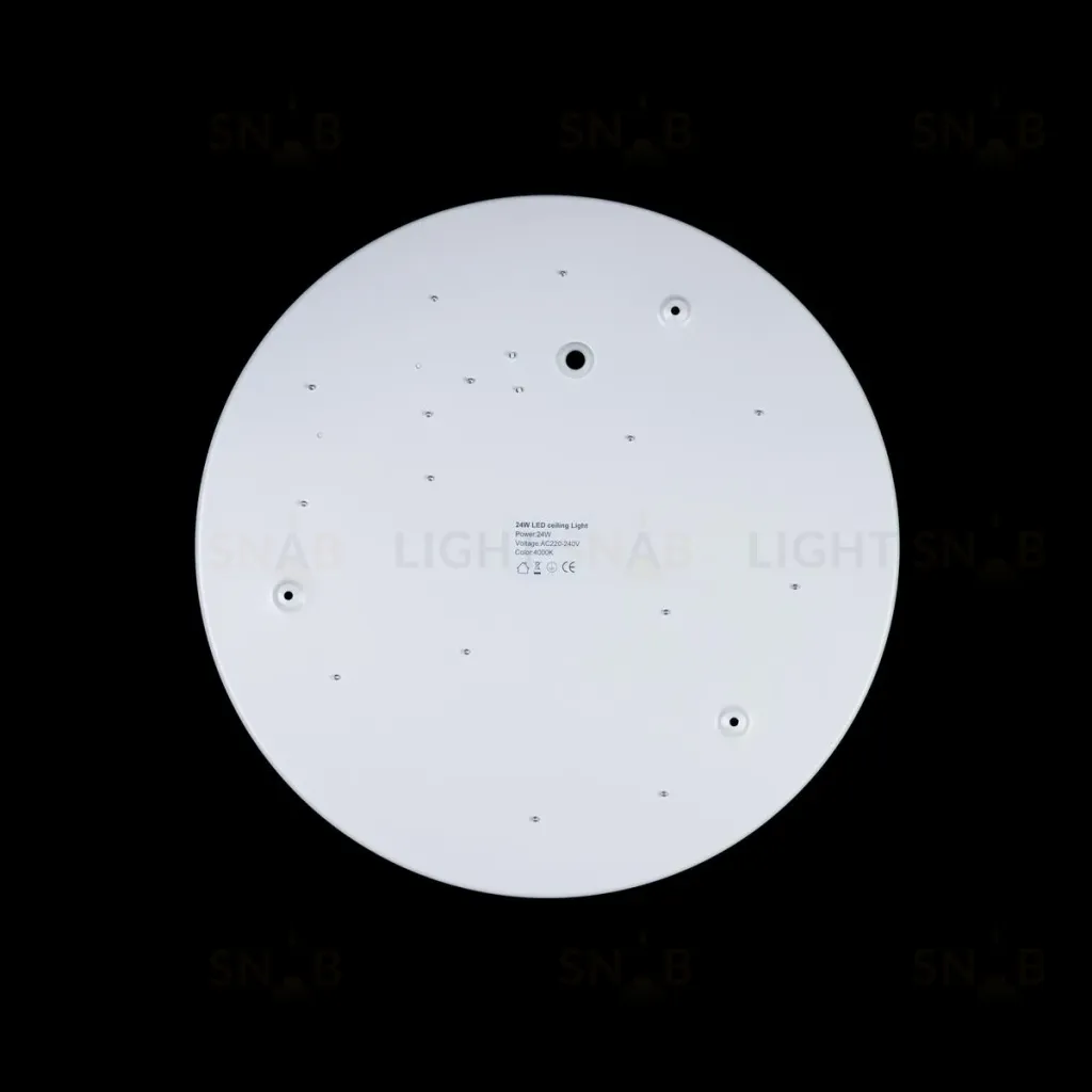Потолочный светильник Loft IT AXEL 10003/24 White 10003/24 White