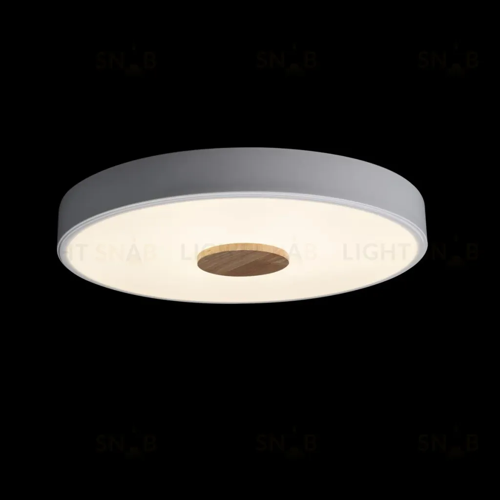 Потолочный светильник Loft IT AXEL 10003/24 White 10003/24 White