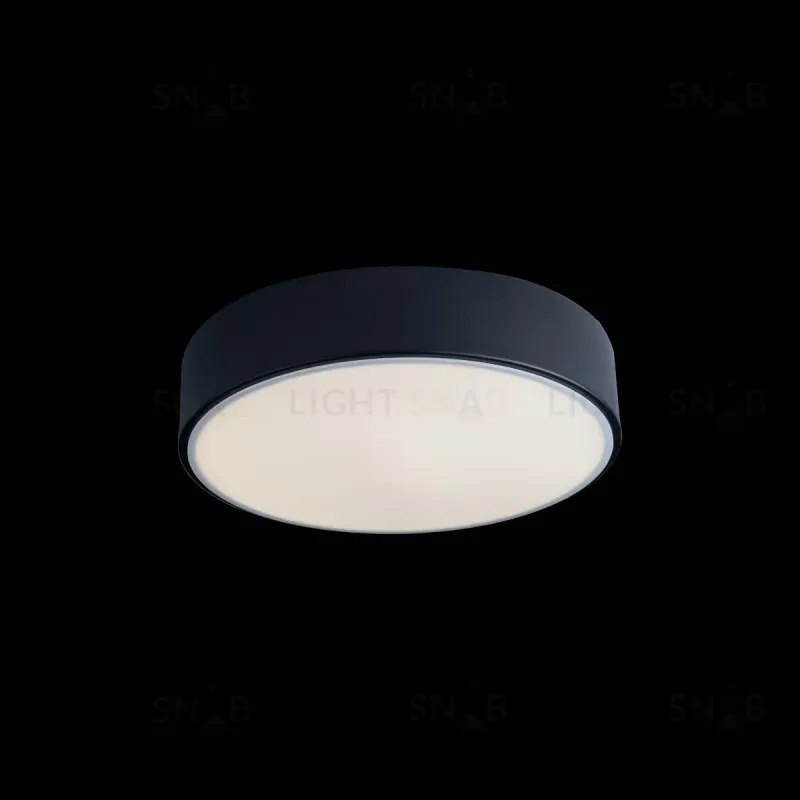 Потолочный светильник Loft IT AXEL 10002/12 Black 10002/12 Black