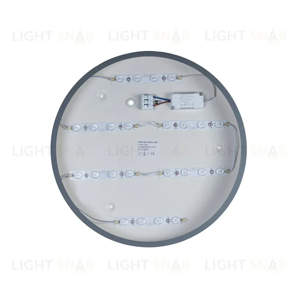 Потолочный светильник Loft IT AXEL 10003/24 Grey 10003/24 Grey