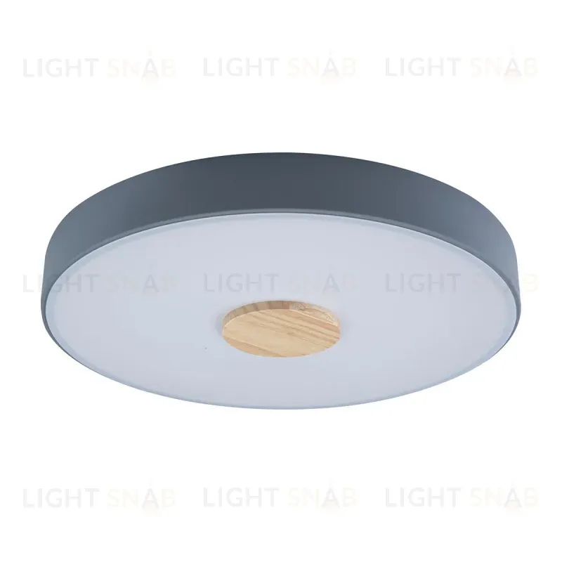 Потолочный светильник Loft IT AXEL 10003/24 Grey 10003/24 Grey