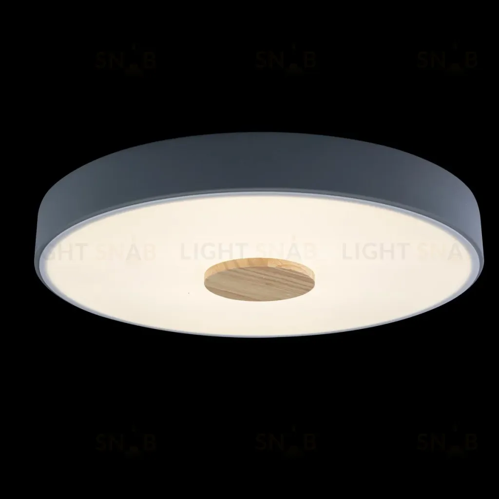 Потолочный светильник Loft IT AXEL 10003/24 Grey 10003/24 Grey