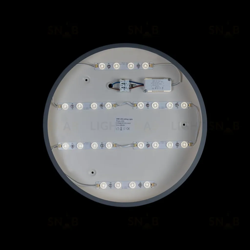 Потолочный светильник Loft IT AXEL 10003/24 Grey 10003/24 Grey
