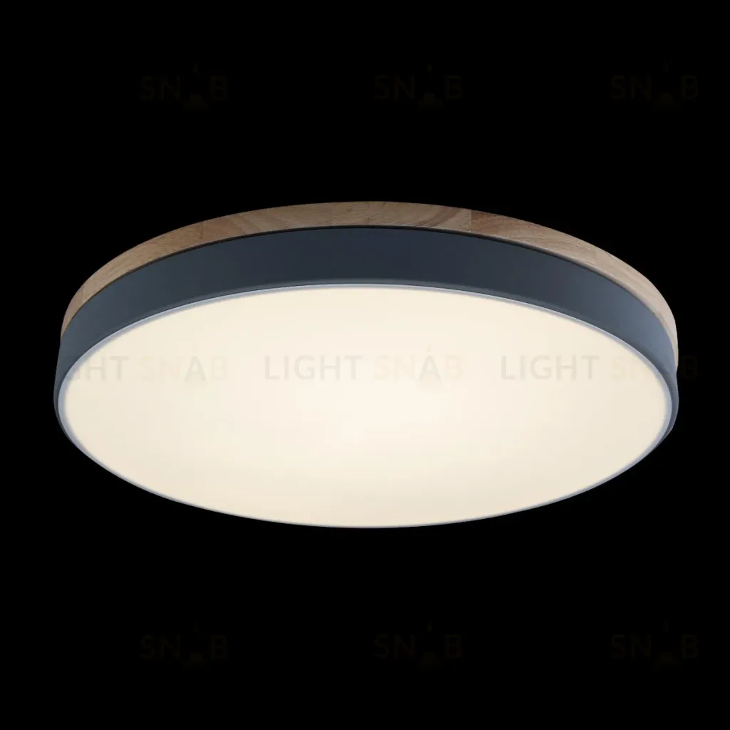 Потолочный светильник Loft IT AXEL 10001/36 Grey 10001/36 Grey