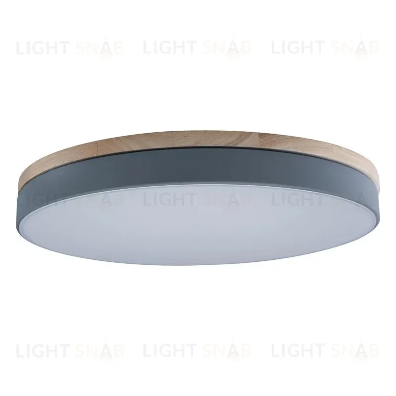 Потолочный светильник Loft IT AXEL 10001/36 Grey 10001/36 Grey