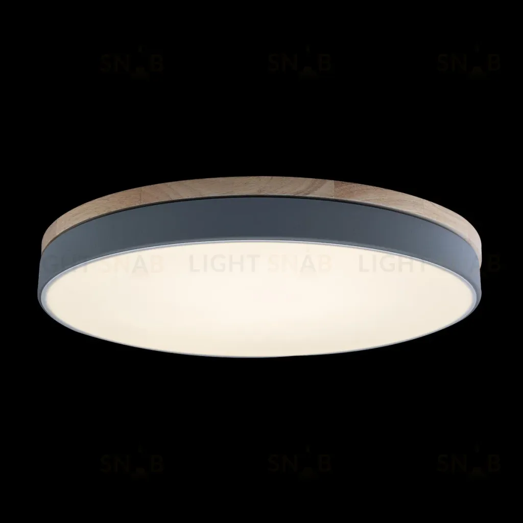 Потолочный светильник Loft IT AXEL 10001/36 Grey 10001/36 Grey