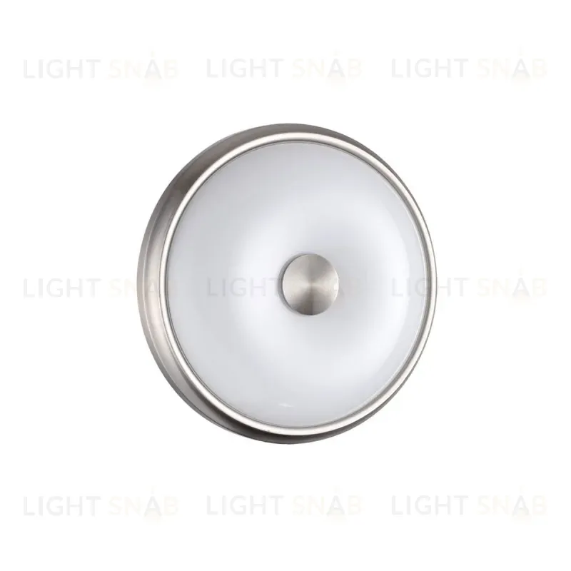 Настенно-потолочный светильник Odeon Light Pelow 4957/2 4957/2