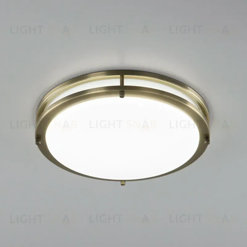Потолочный светильник Citilux Бостон CL709323N CL709323N