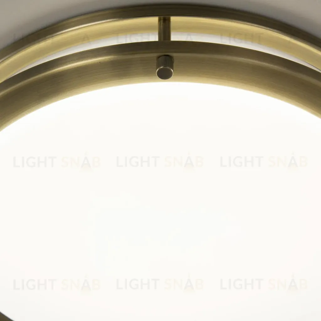 Потолочный светильник Citilux Бостон CL709323N CL709323N
