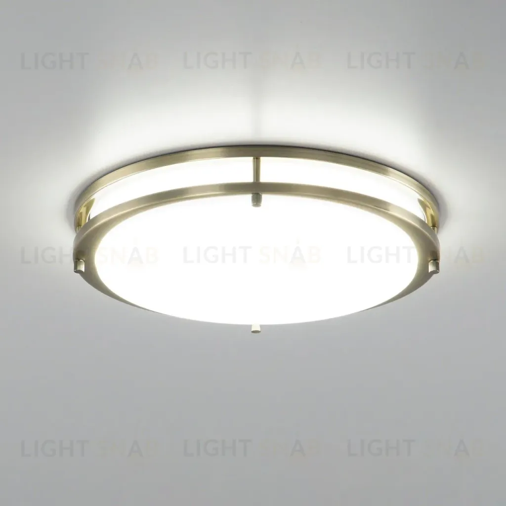 Потолочный светильник Citilux Бостон CL709323N CL709323N