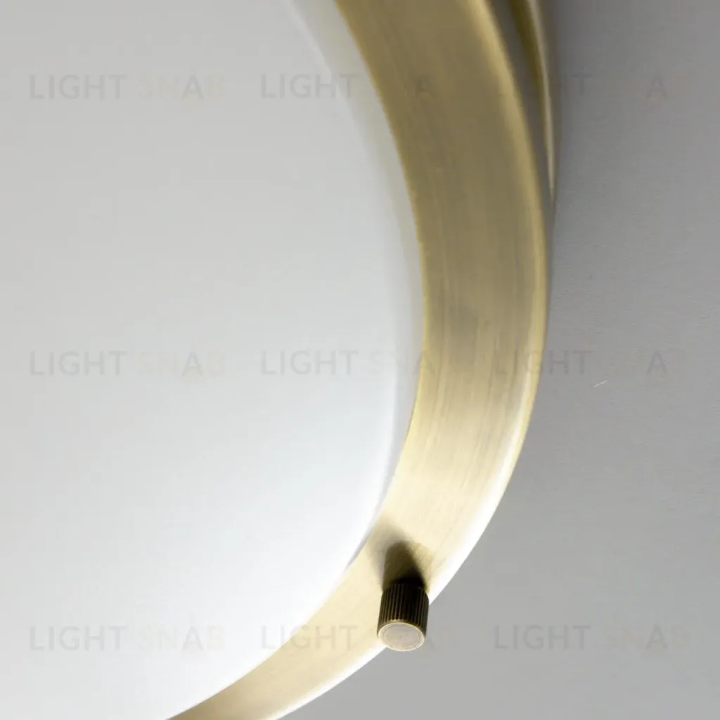 Потолочный светильник Citilux Бостон CL709323N CL709323N