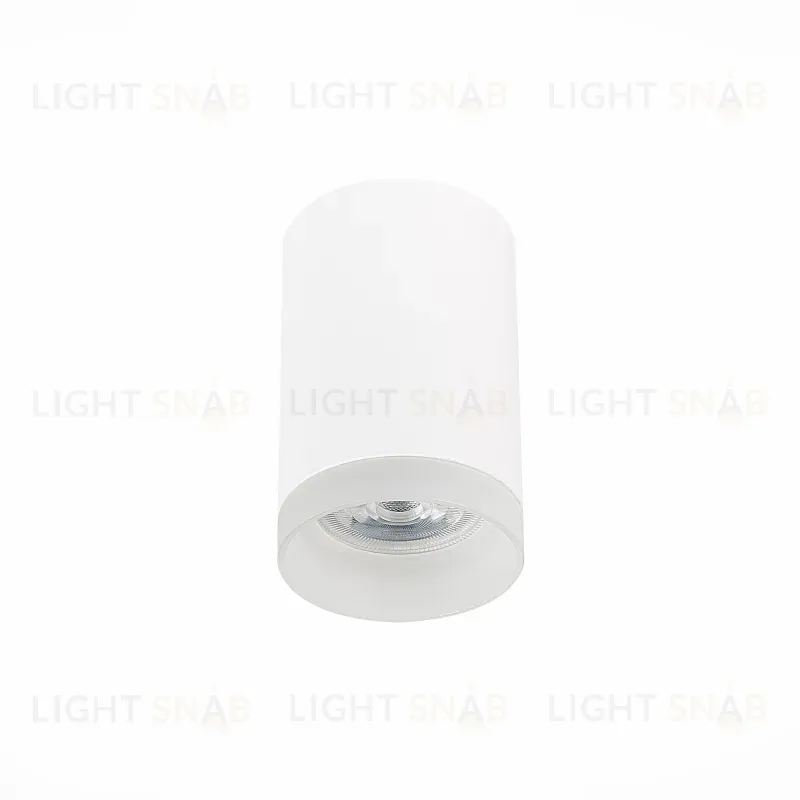 Накладной светильник ST Luce ST100 ST100.502.01 ST100.502.01