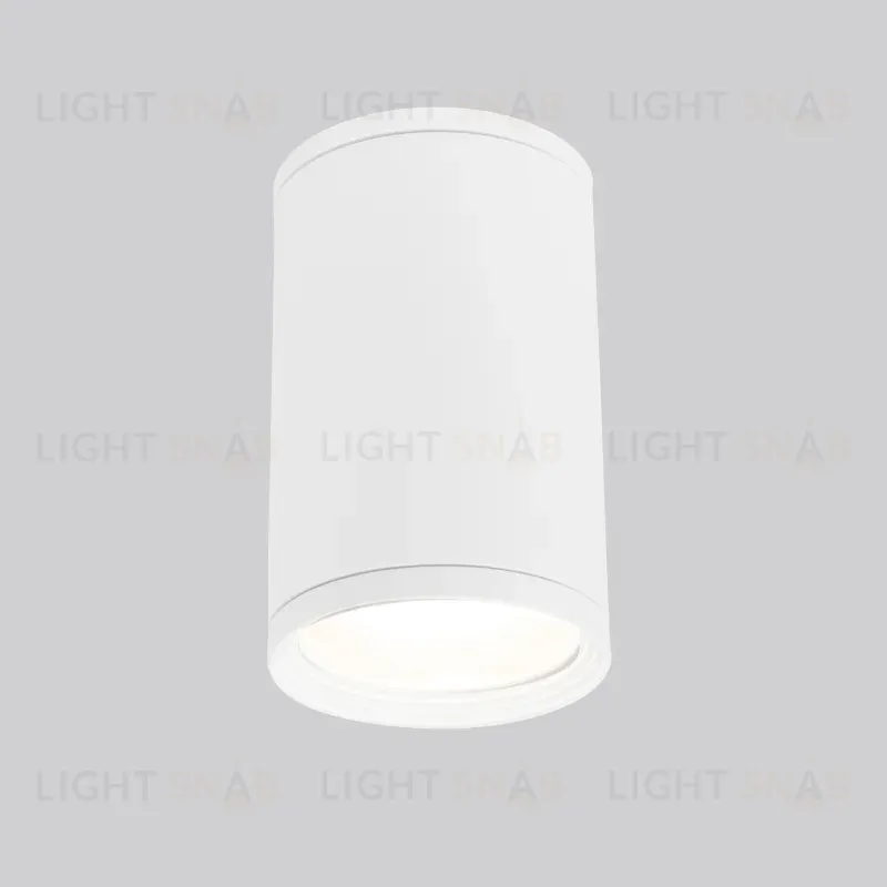 Уличный потолочный светильник Elektrostandard Light 4690389175893 4690389175893