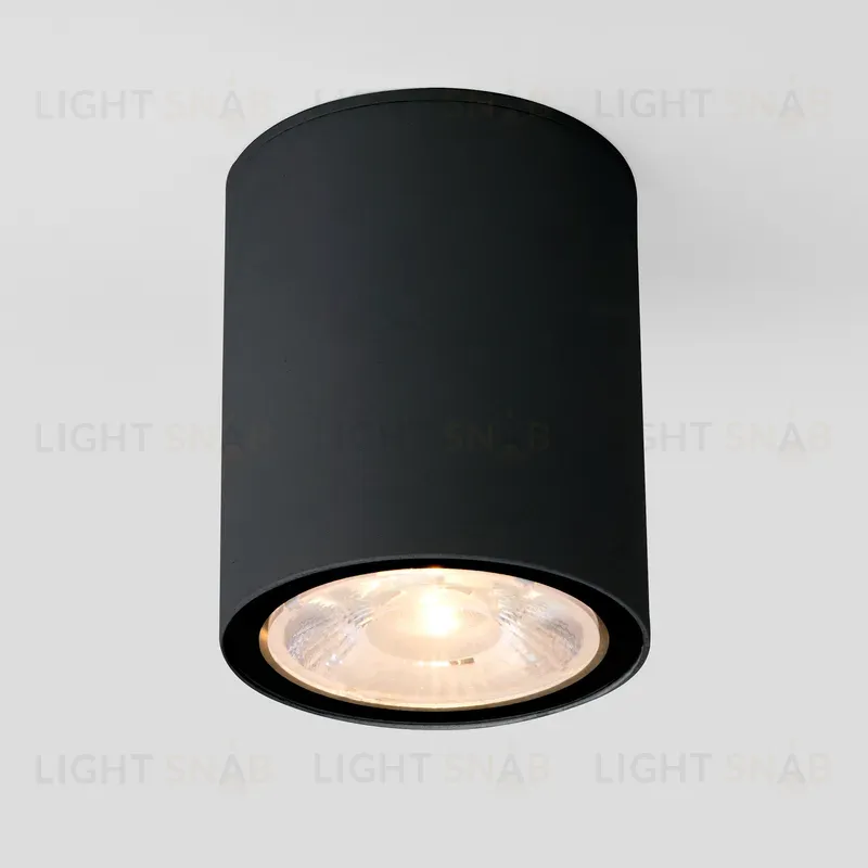 Уличный потолочный светильник Elektrostandard Light LED 4690389176586 4690389176586