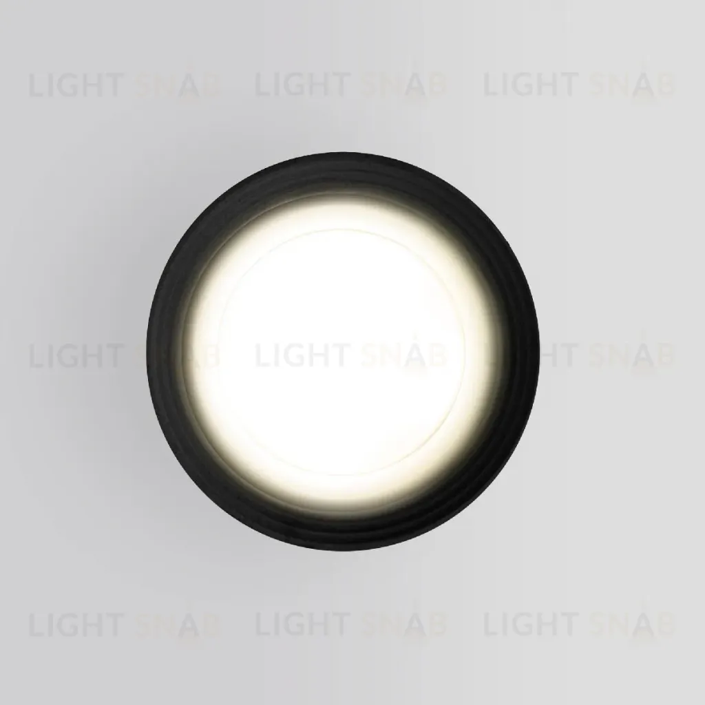 Уличный потолочный светильник Elektrostandard Light 4690389175916 4690389175916