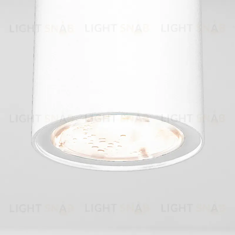 Уличный потолочный светильник Elektrostandard Light LED 4690389176555 4690389176555