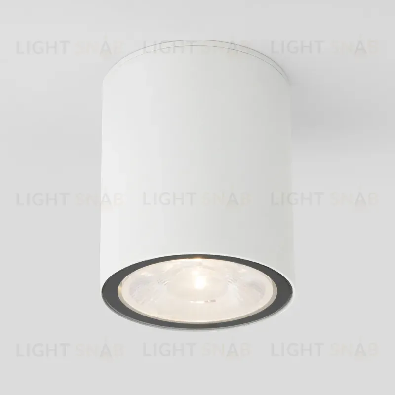 Уличный потолочный светильник Elektrostandard Light LED 4690389176579 4690389176579
