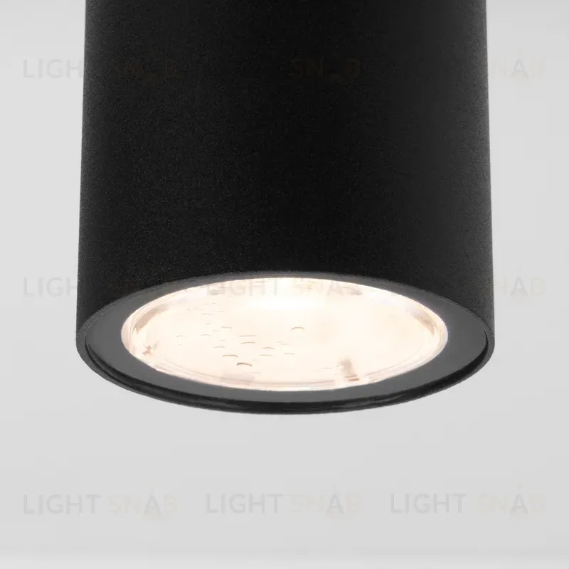 Уличный потолочный светильник Elektrostandard Light LED 4690389176562 4690389176562