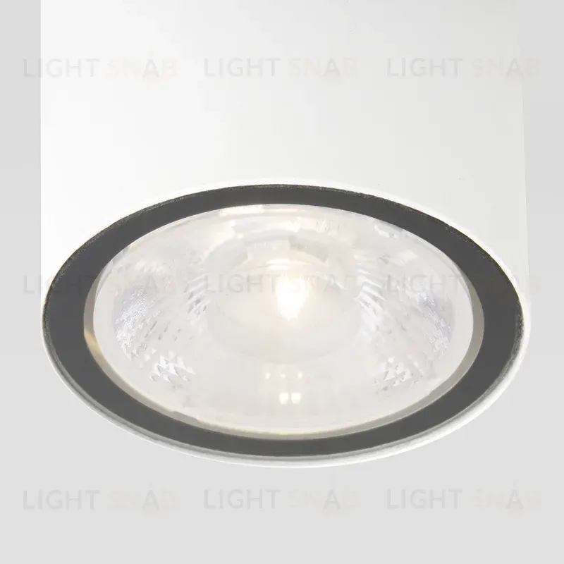 Уличный потолочный светильник Elektrostandard Light LED 4690389176579 4690389176579