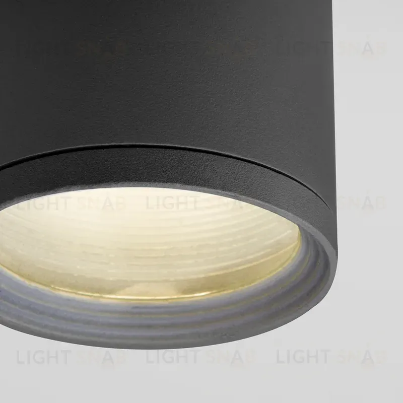 Уличный потолочный светильник Elektrostandard Light 4690389175909 4690389175909
