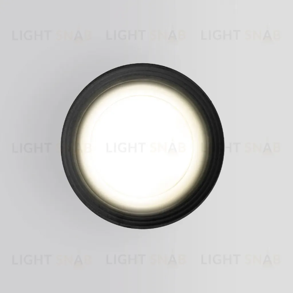 Уличный потолочный светильник Elektrostandard Light 4690389175909 4690389175909