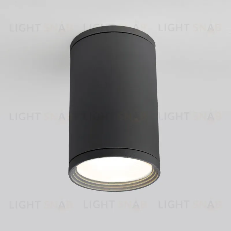 Уличный потолочный светильник Elektrostandard Light 4690389175909 4690389175909
