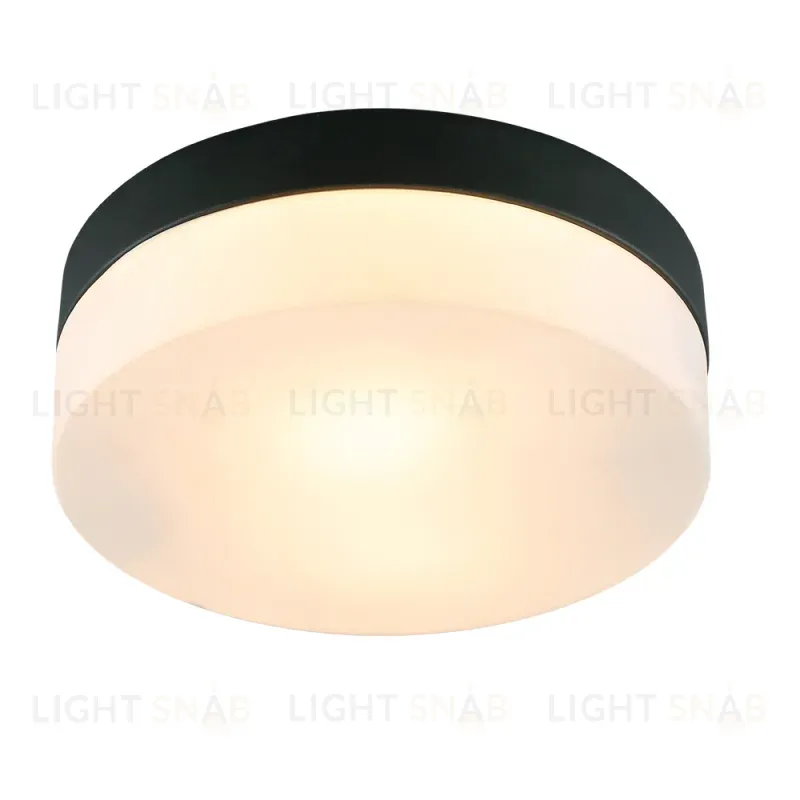 Потолочный светильник Arte Lamp Aqua-Tablet A6047PL-2BK A6047PL-2BK