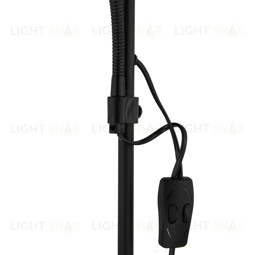 Торшер Arte Lamp Duetto A9569PN-2BK A9569PN-2BK