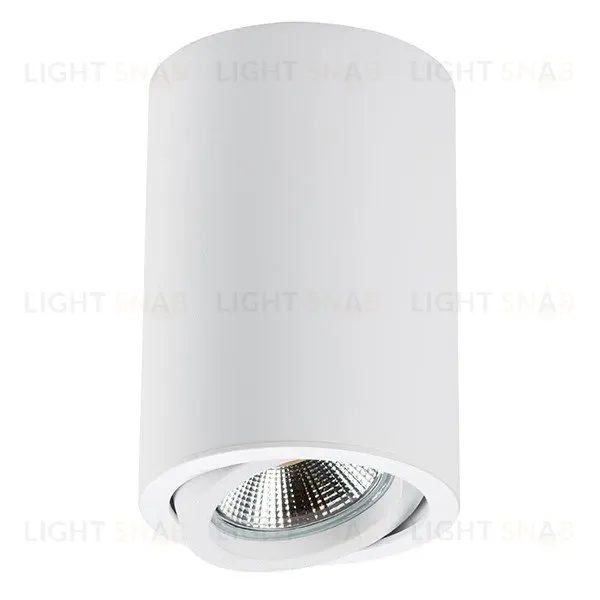 Накладной светильник Lightstar Rullo 214406 214406