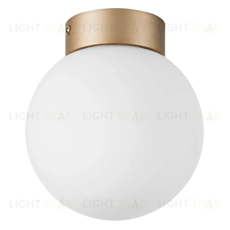 Потолочный светильник Lightstar Globo 812013 812013