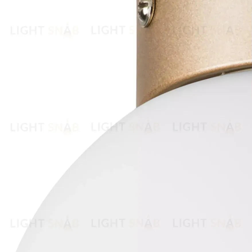 Потолочный светильник Lightstar Globo 812013 812013
