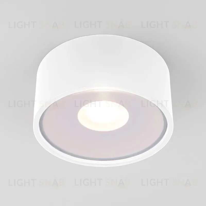 Уличный потолочный светильник Elektrostandard Light LED 35141/H белый 4690389180132 a057471 4690389180132