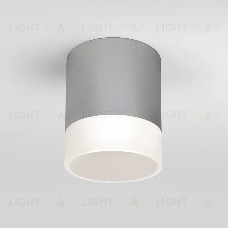 Уличный потолочный светильник Elektrostandard Light LED 4690389177965 4690389177965