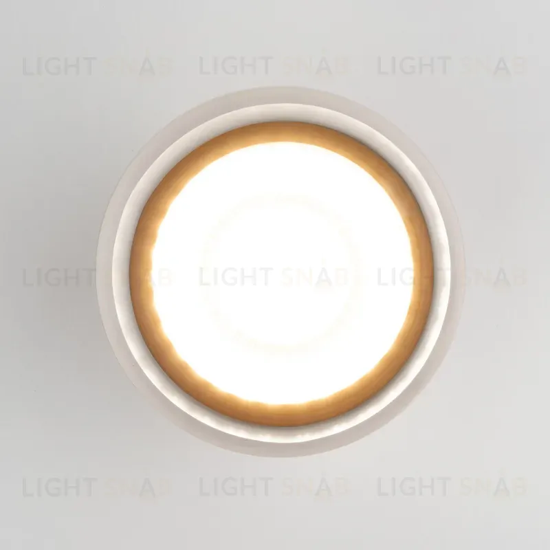 Уличный потолочный светильник Elektrostandard Light LED 4690389177965 4690389177965