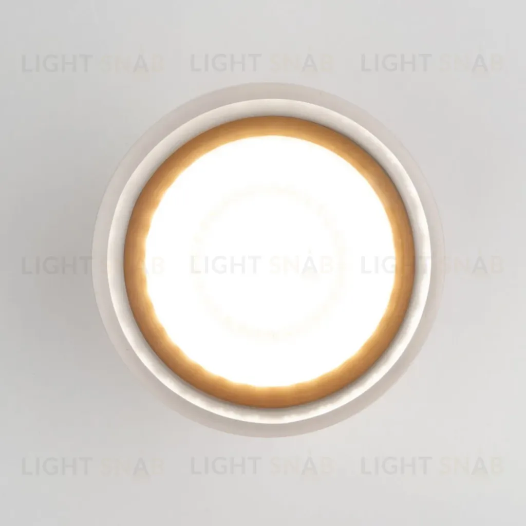 Уличный потолочный светильник Elektrostandard Light LED 4690389177941 4690389177941
